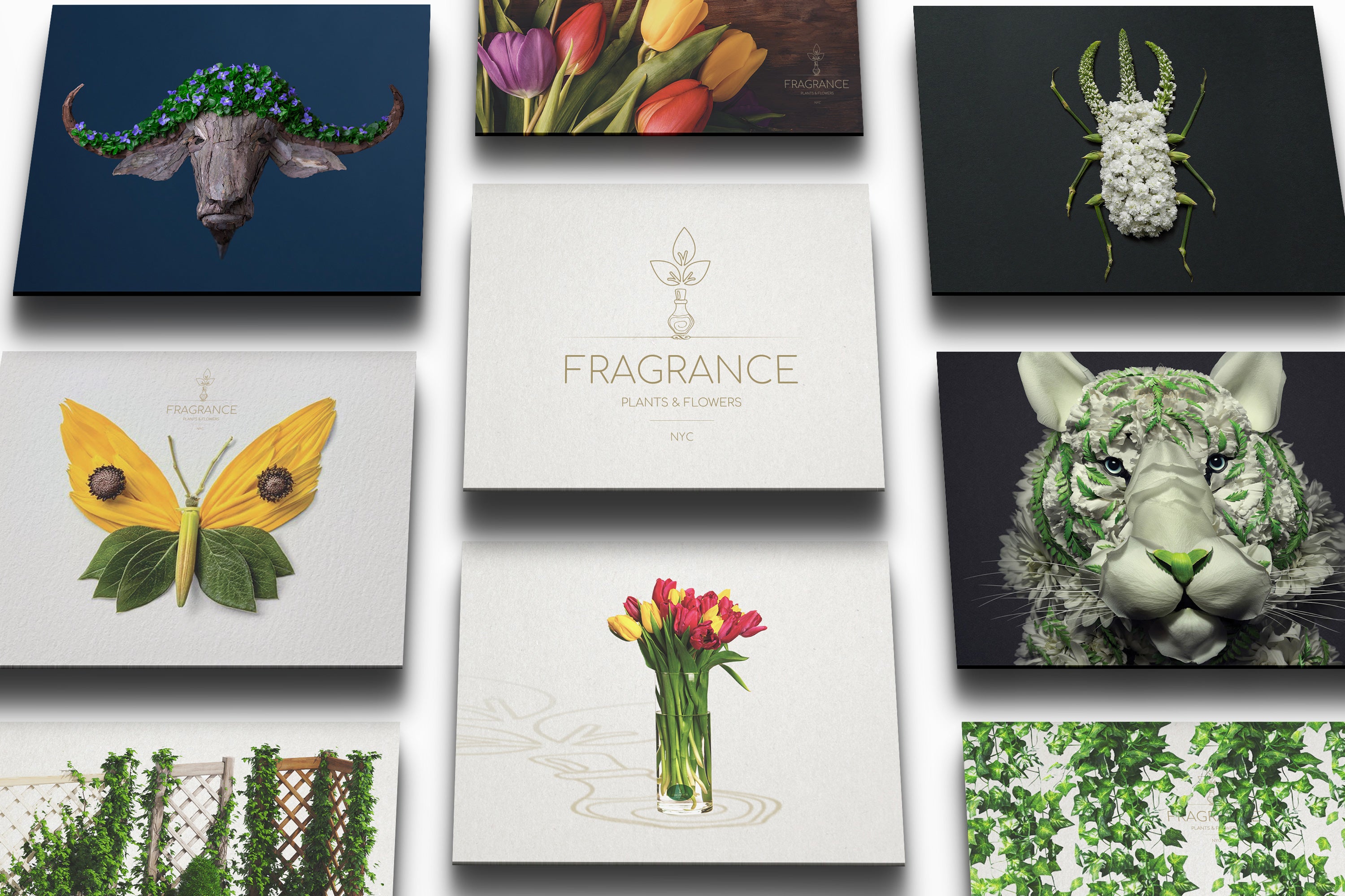 Fragrant Plants & Flowers